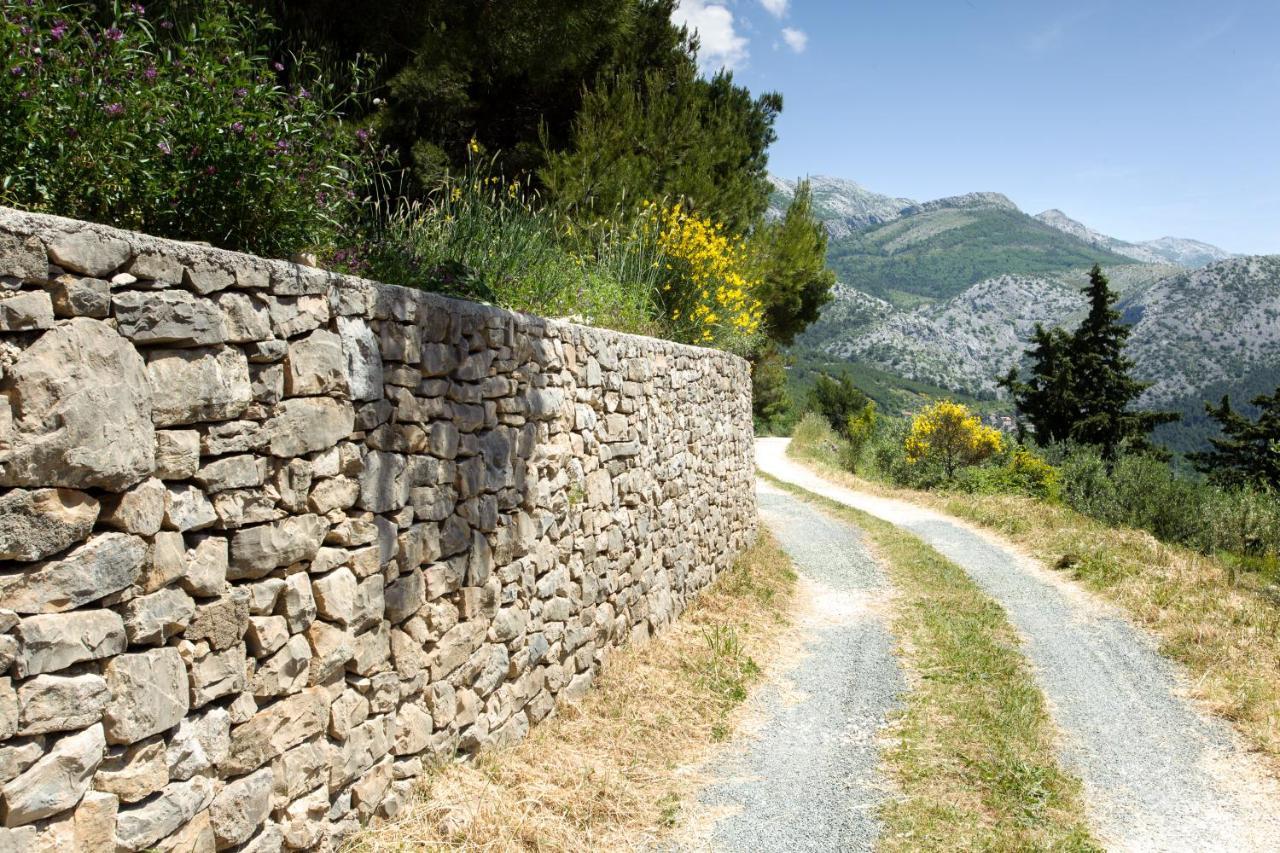 Villa Don Dan Zrnovnica ภายนอก รูปภาพ